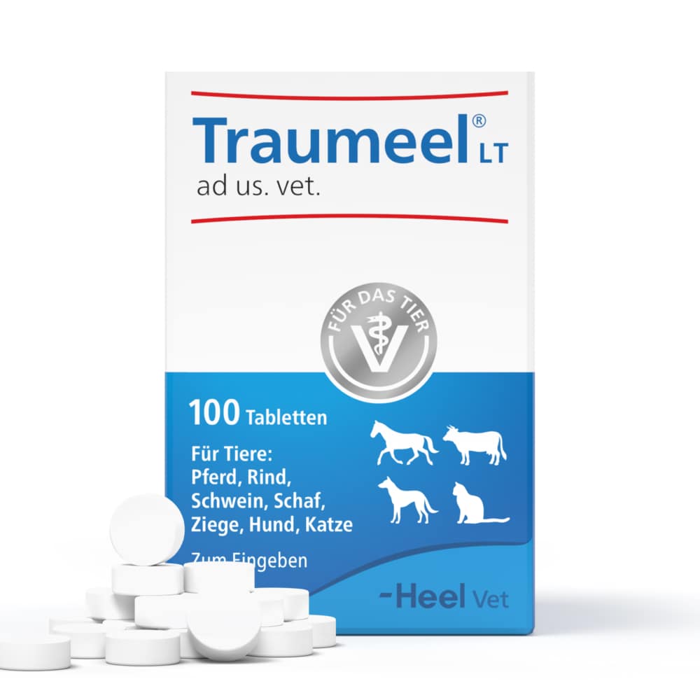 Traumeel LT ad us. vet. 100 St Tabletten