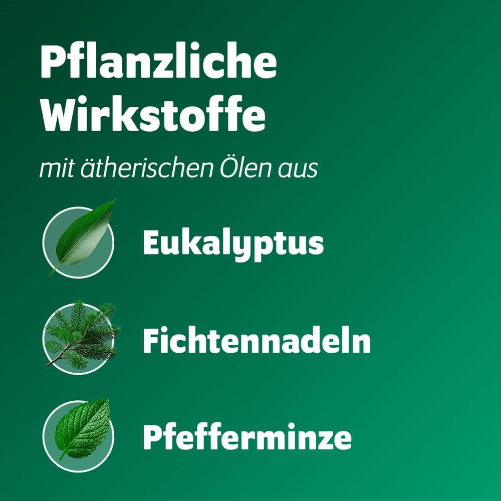 Bronchoforton Erkältungssalbe 40 g Salbe