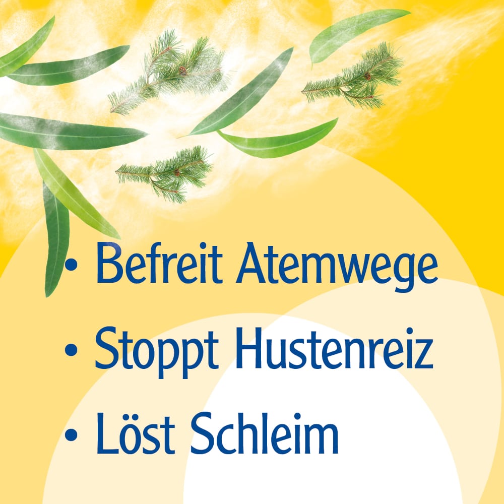 Pinimenthol Erkältungsbalsam mild ab 2 Jahren - mit Eucalyptus- und Kiefernnadelöl 50 g Salbe