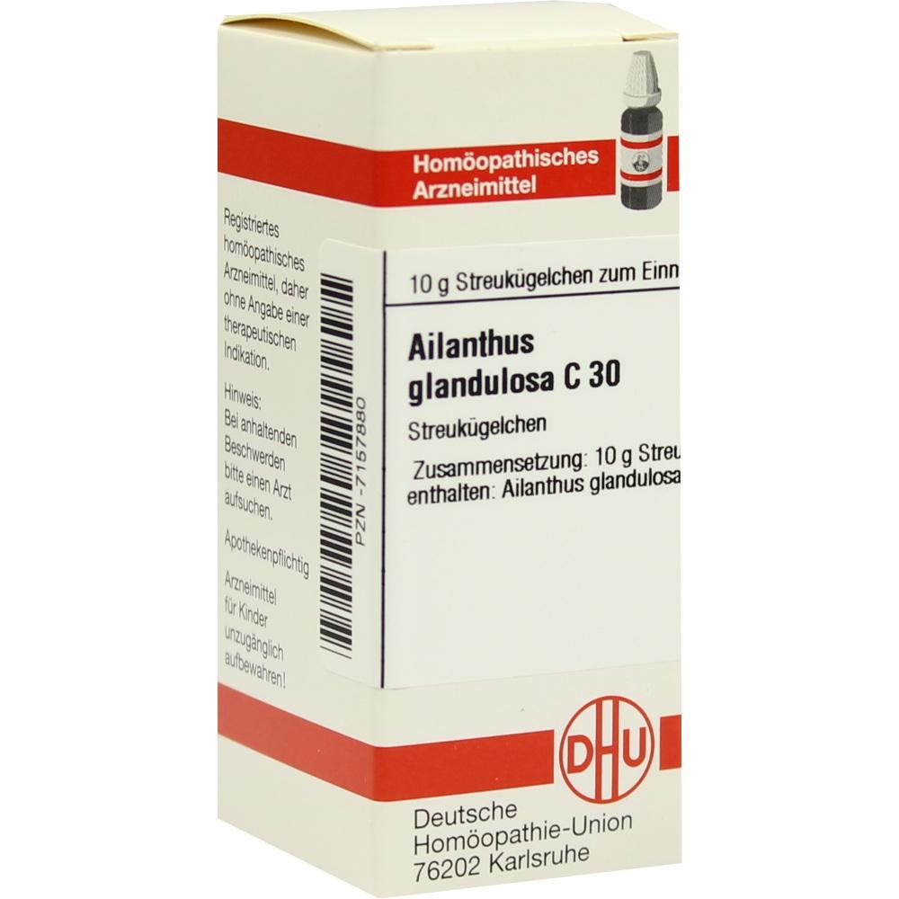 AILANTHUS GLANDULOSA C 30 Globuli 10 g Globuli
