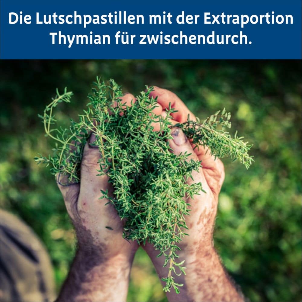 Bronchipret Thymian 30 St Pastillen