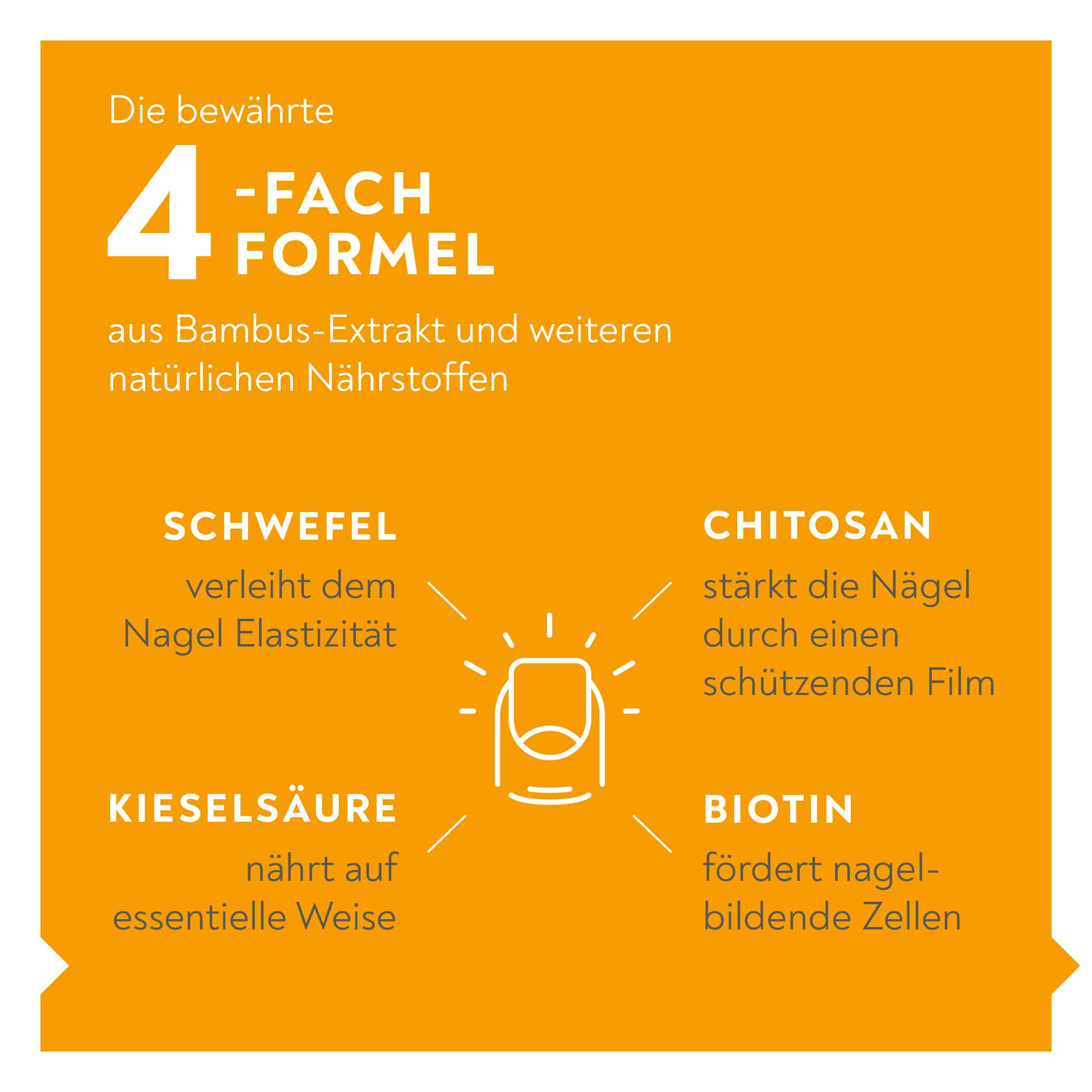 BIO-H-TIN Stärkendes NAGEL-SERUM 3.3 ml Lösung