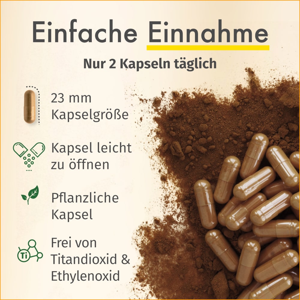 GREEN NATURALS Cordyceps sinensis 180 St Kapseln