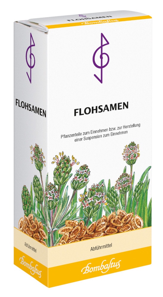 FLOHSAMEN BOMBASTUS 300 g Kerne