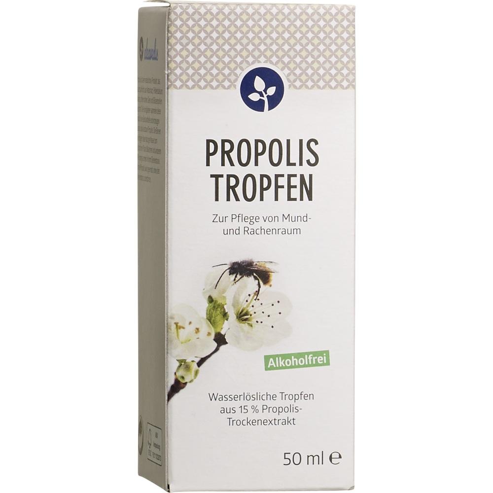 PROPOLIS TROPFEN zur Pflege von Mund- und Rachenraum ALKOHOLFREI 50 ml Lösung zum Einnehmen