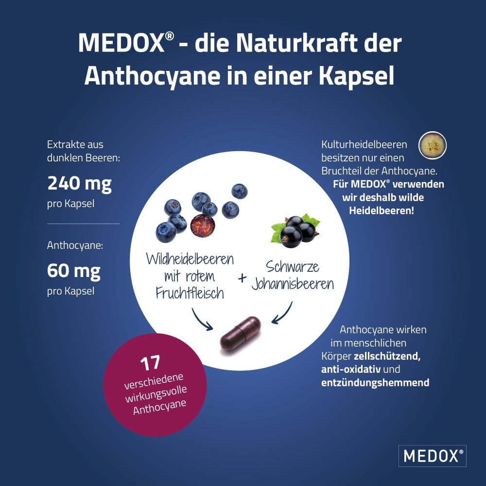 MEDOX Anthocyane aus wilden Beeren 30 St Kapseln