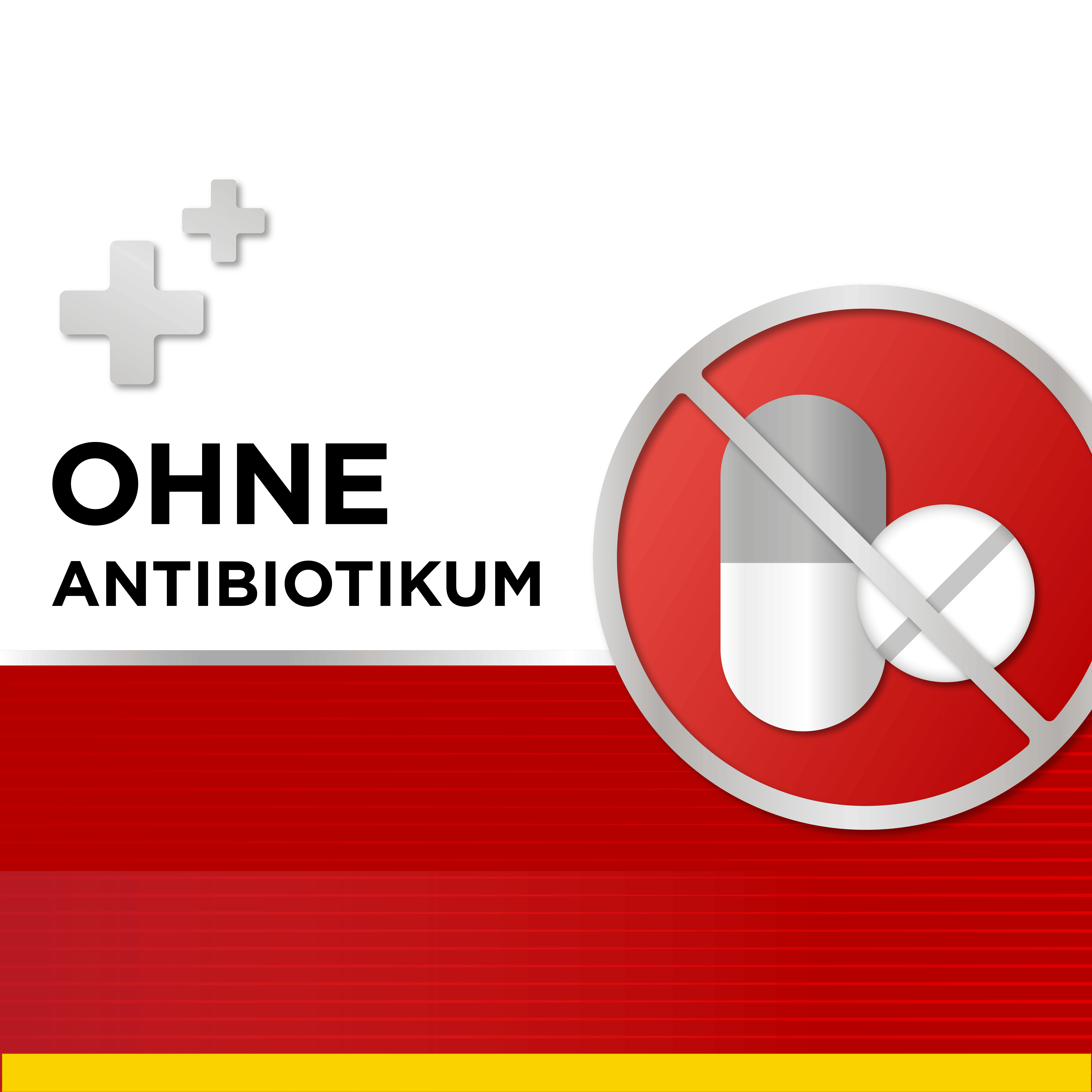 Dobendan Direkt Doppelpack 1 Sparset