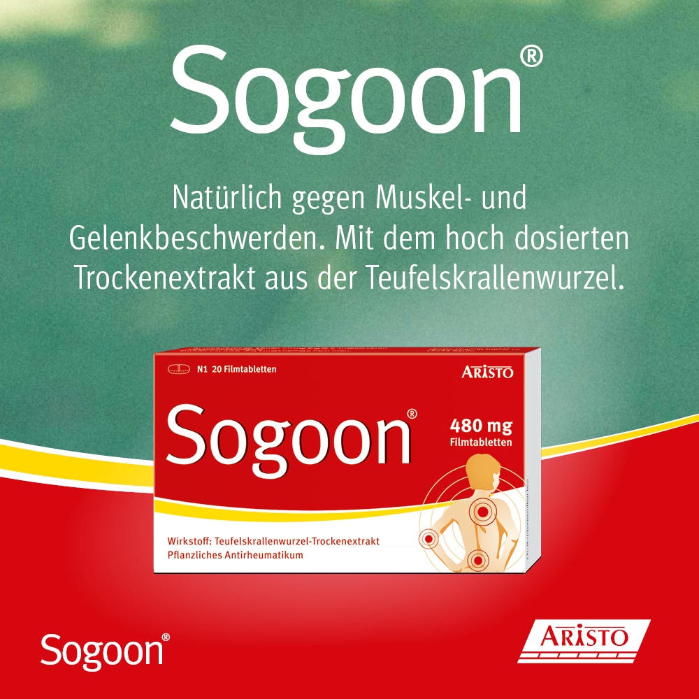 Sogoon 480 mg 200 St Filmtabletten