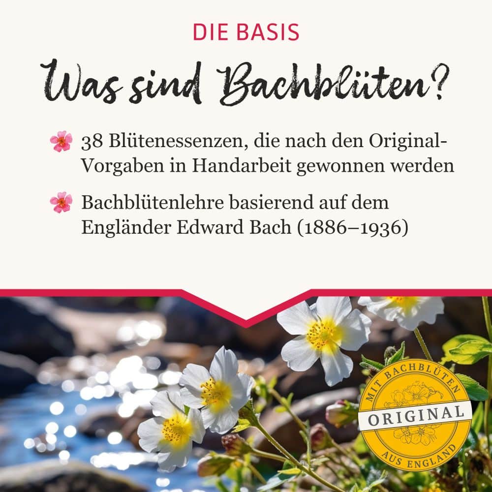 MURNAUERS Bachblüten GUTE ENERGIE 20 ml Tropfen