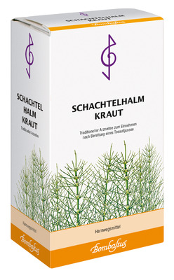 SCHACHTELHALMKRAUT Tee 100 g Tee
