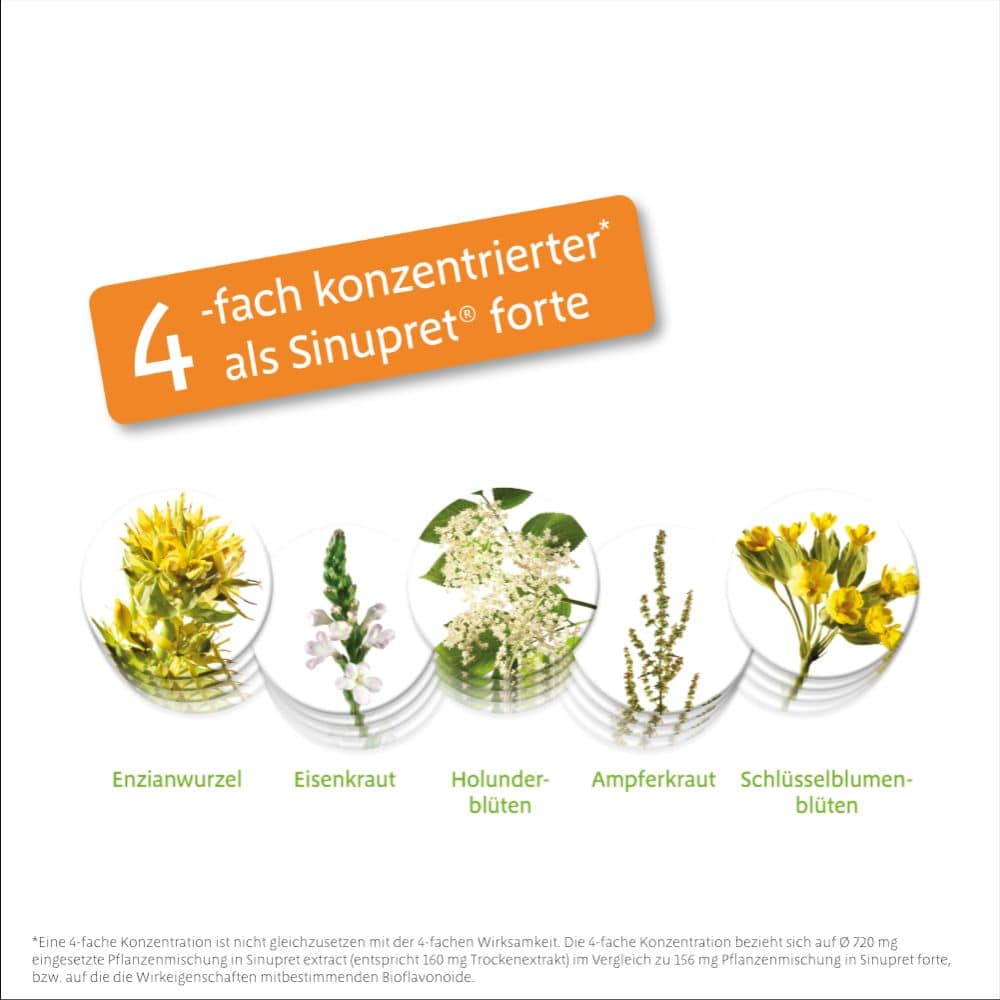Sinupret extract 40 St Überzogene Tabletten