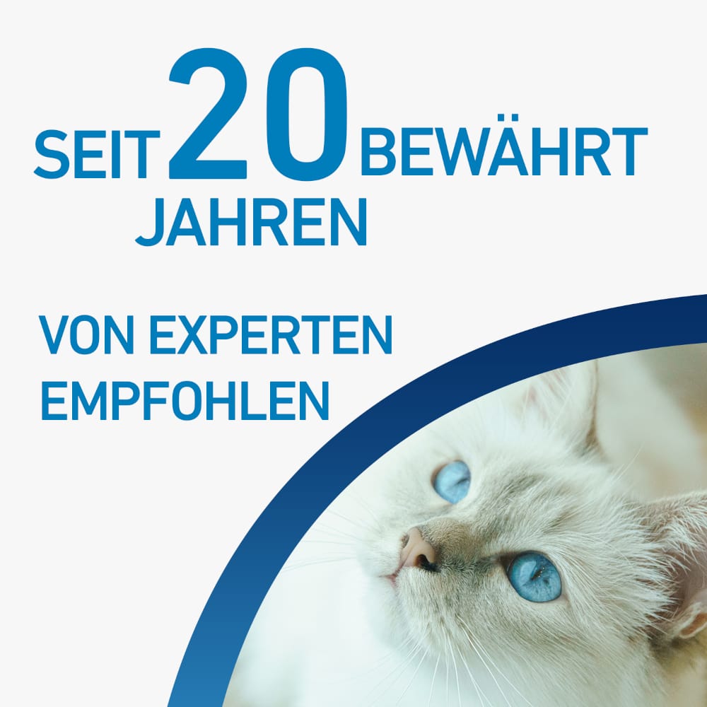 FRONTLINE SPOT-ON gegen Zecken und Flöhe für Katzen 6 St Lösung
