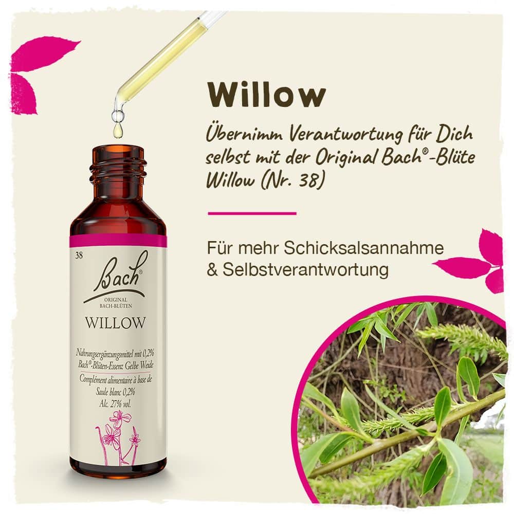 BACHBLÜTEN Original Willow Nr. 38 20 ml Tropfen