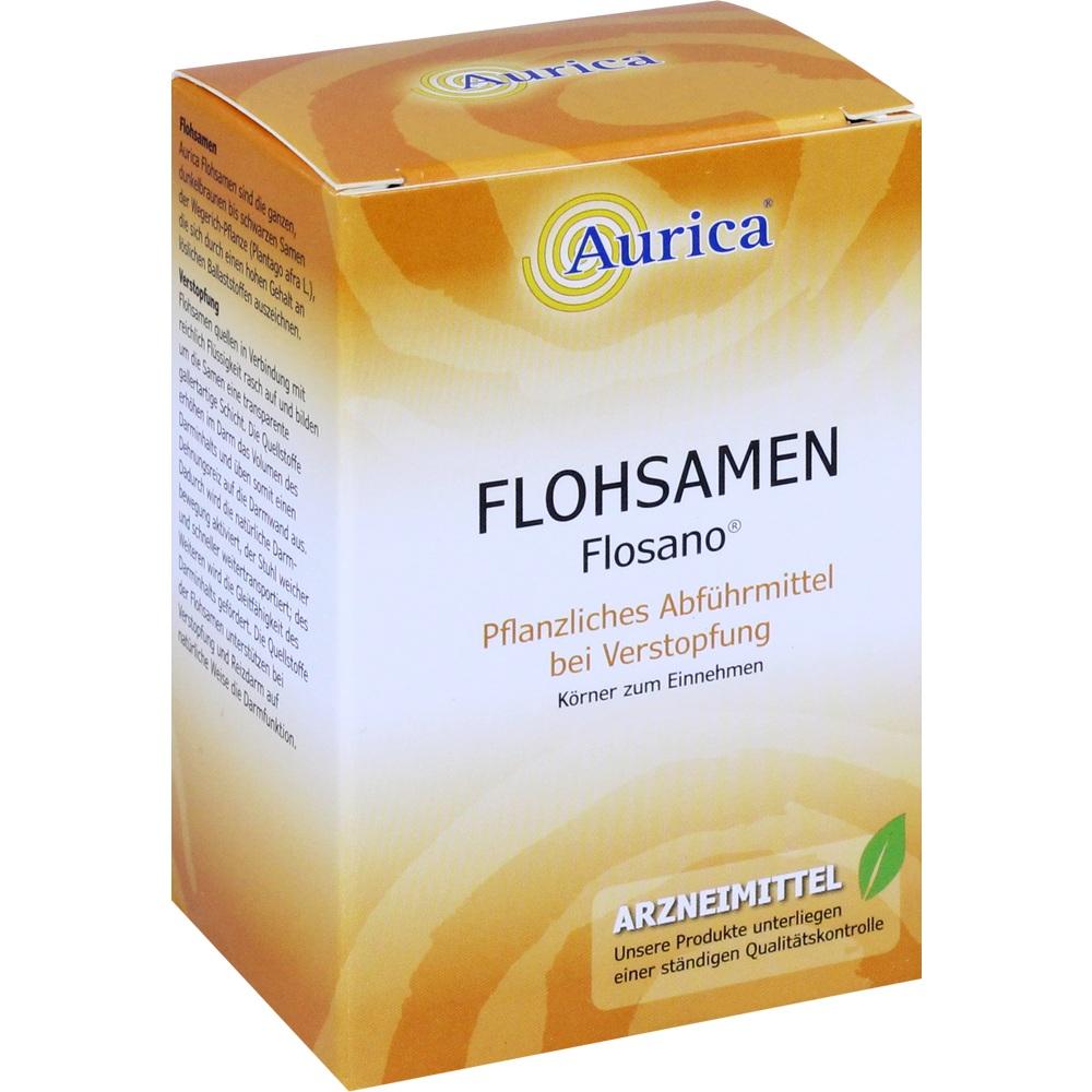 Flohsamen 100 g Kerne