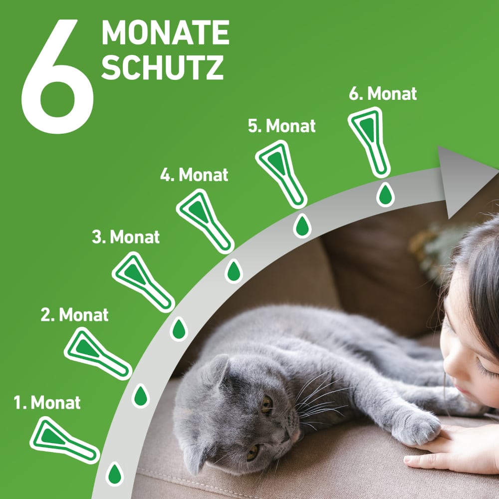 FRONTLINE COMBO 6 Stk. Kombischutz für Tier & Heim gegen Zecken, Flöhe & Haarlinge bei Katzen 6 St Lösung