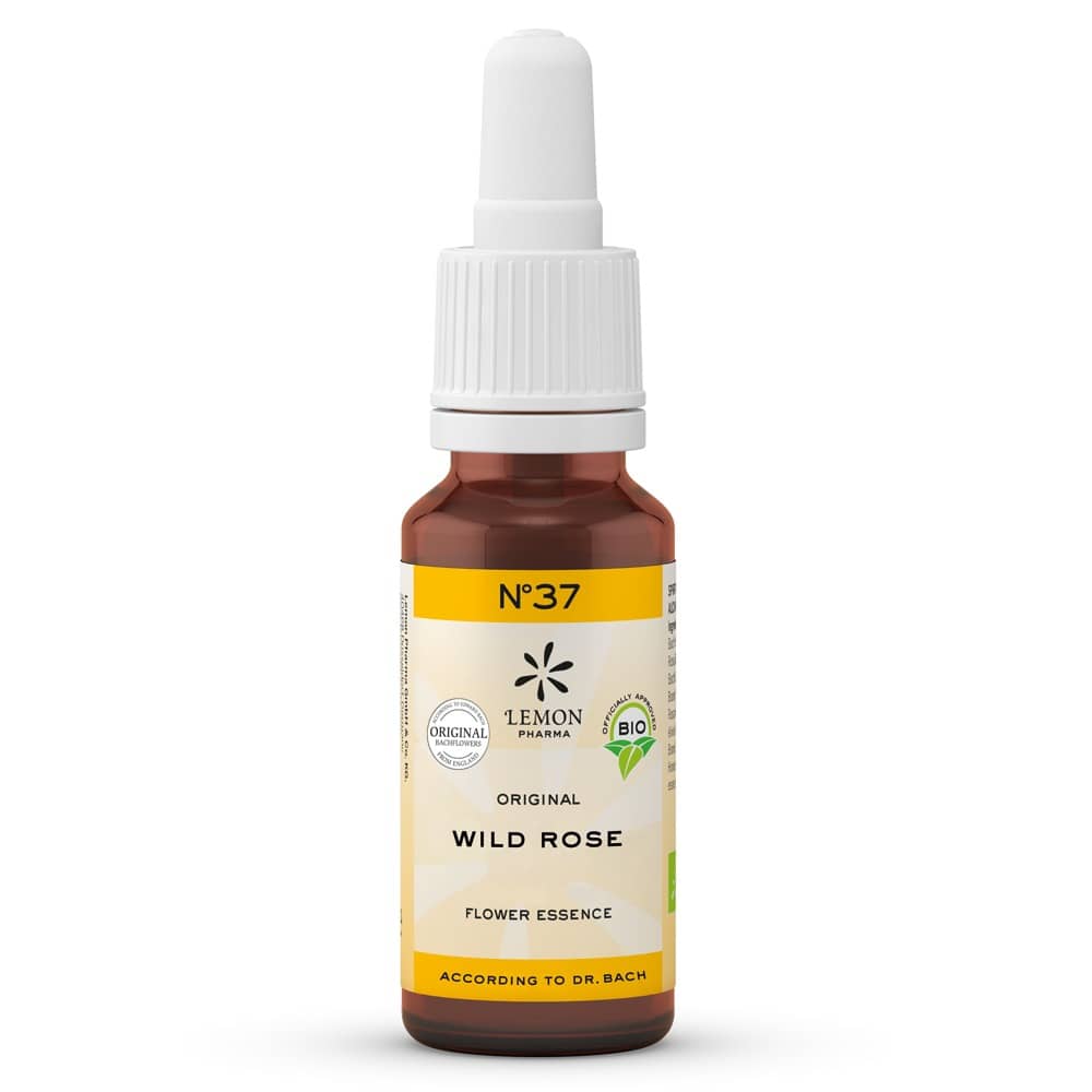 Bachblüten No.37 Wild Rose Bio  20 ml