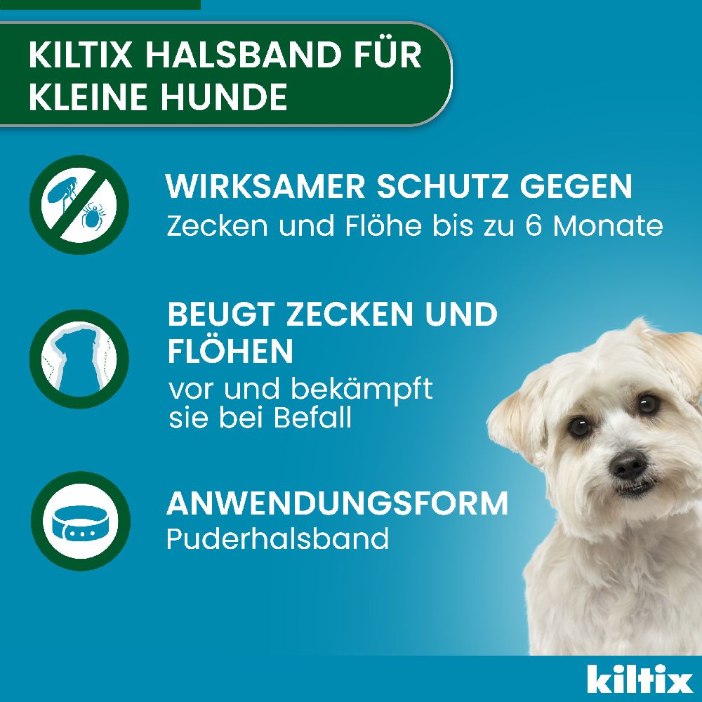 KILTIX Halsband für kleine Hunde 1 St Halsband