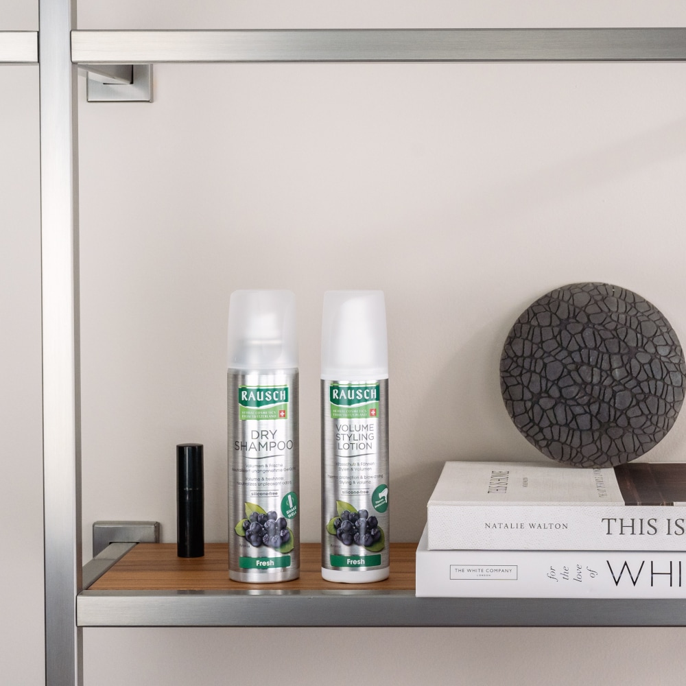 RAUSCH DRY SHAMPOO Fresh 50 ml Aerosol 50 ml Dosierspray