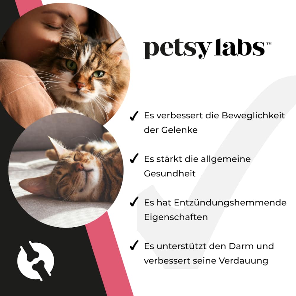 FELINE BOOSTER FUER KATZEN