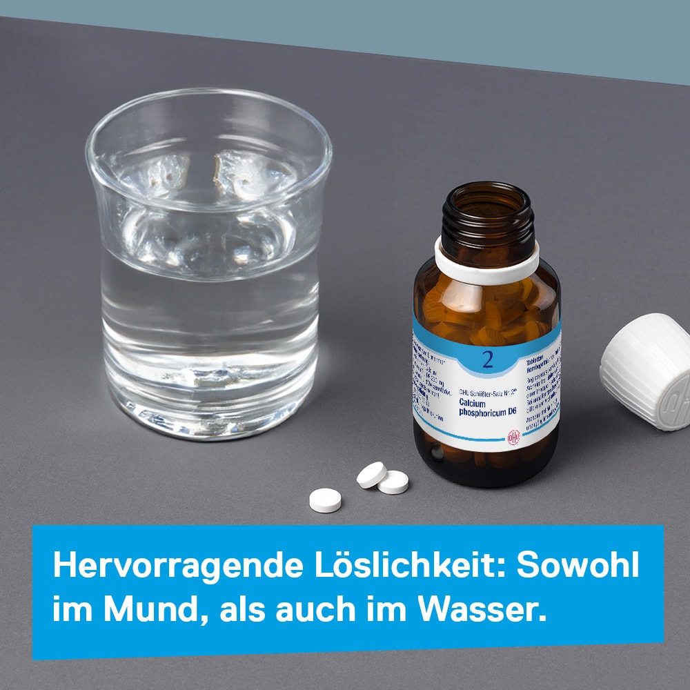 DHU Schüßler-Salz Nr. 2 Calcium phosphoricum D6 420 St Tabletten