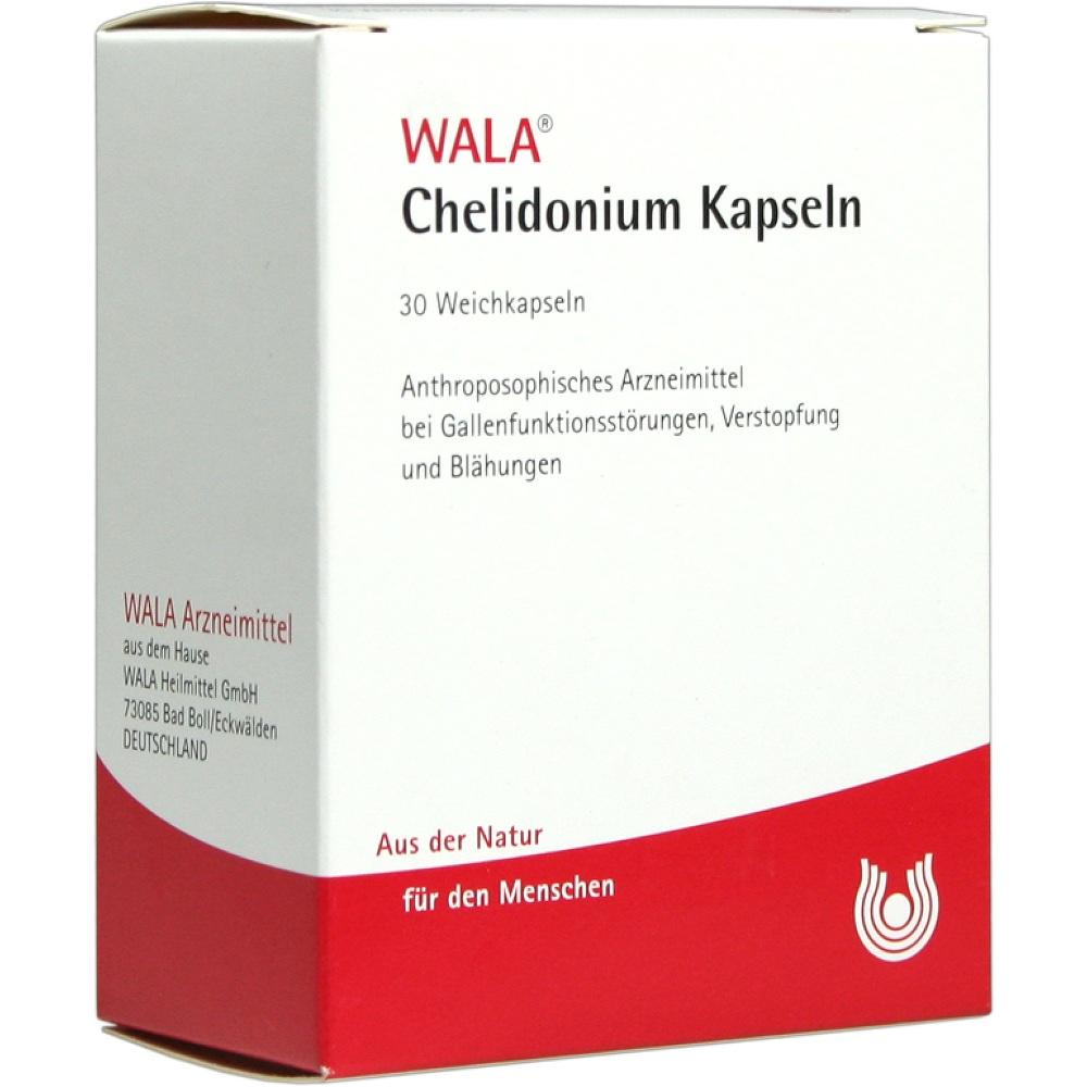 WALA Chelidonium Kapseln 30 St Kapseln