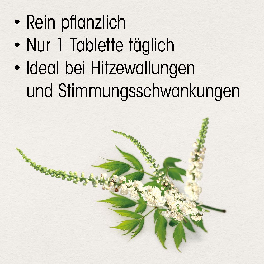 Dr. Böhm Traubensilberkerze 6,5 mg  60 St Tabletten