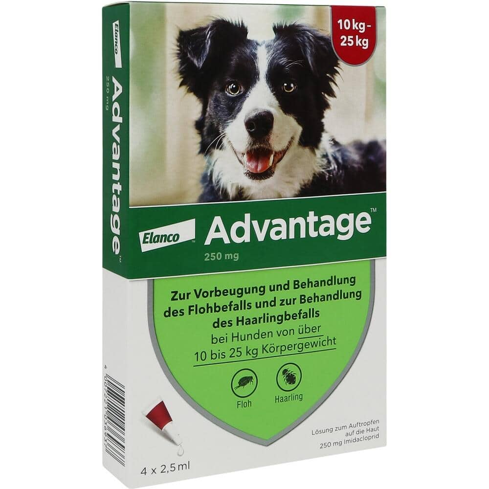 Advantage 250 Lösung für Hunde 10-25 kg 4 St Lösung