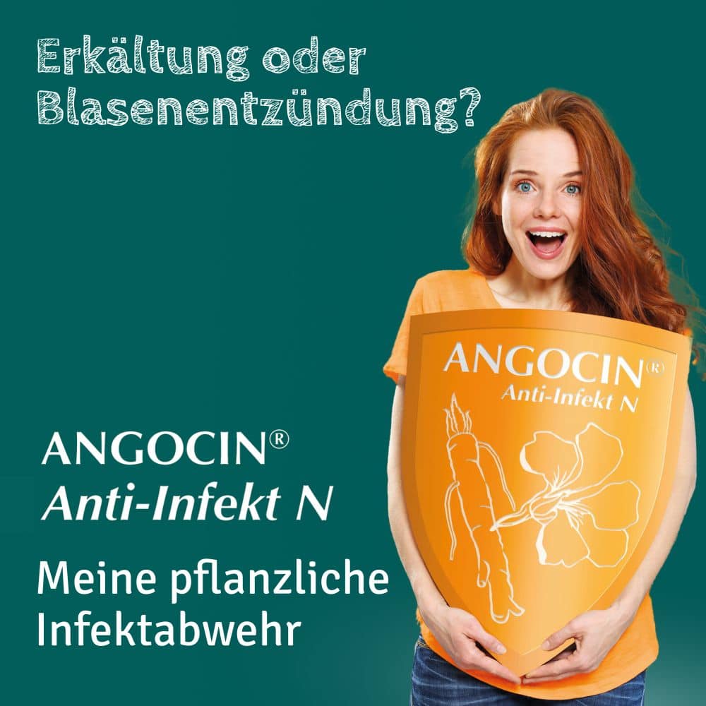 ANGOCIN Anti-Infekt N  500 St Filmtabletten