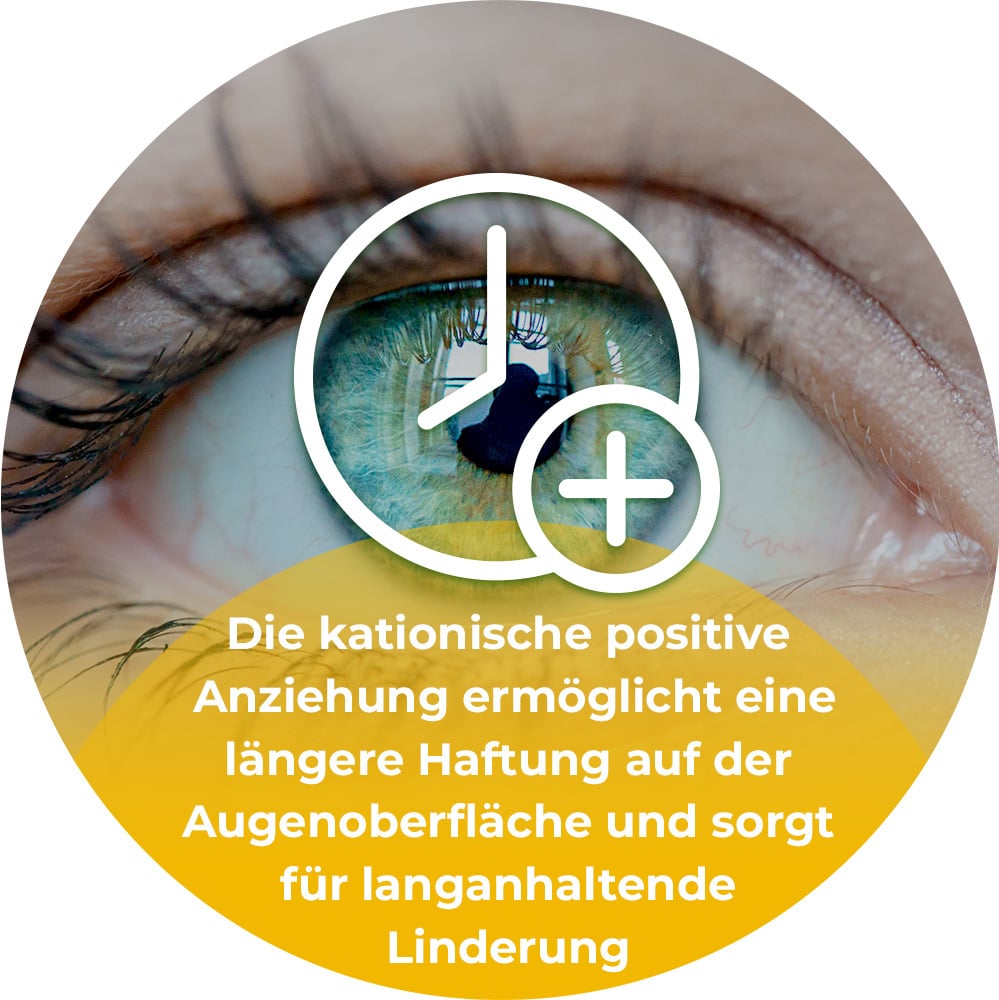 CATIONORM MD sine Augentropfen 10 ml Augentropfen