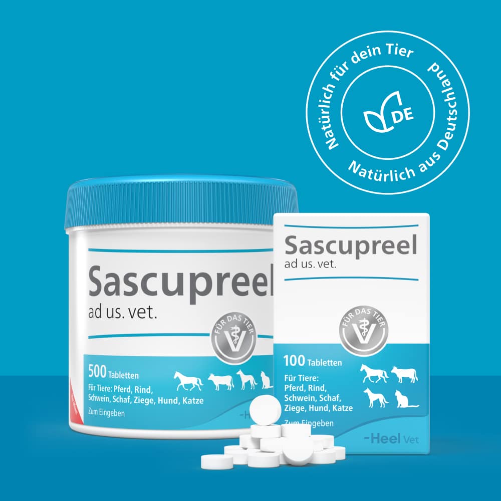 Sascupreel ad us. vet. 500 St Tabletten