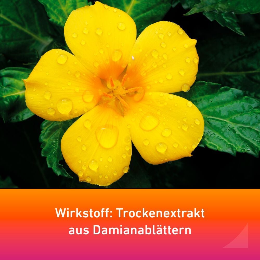 Remisens bei nachlassendem sexuellen Verlangen 90 St Filmtabletten