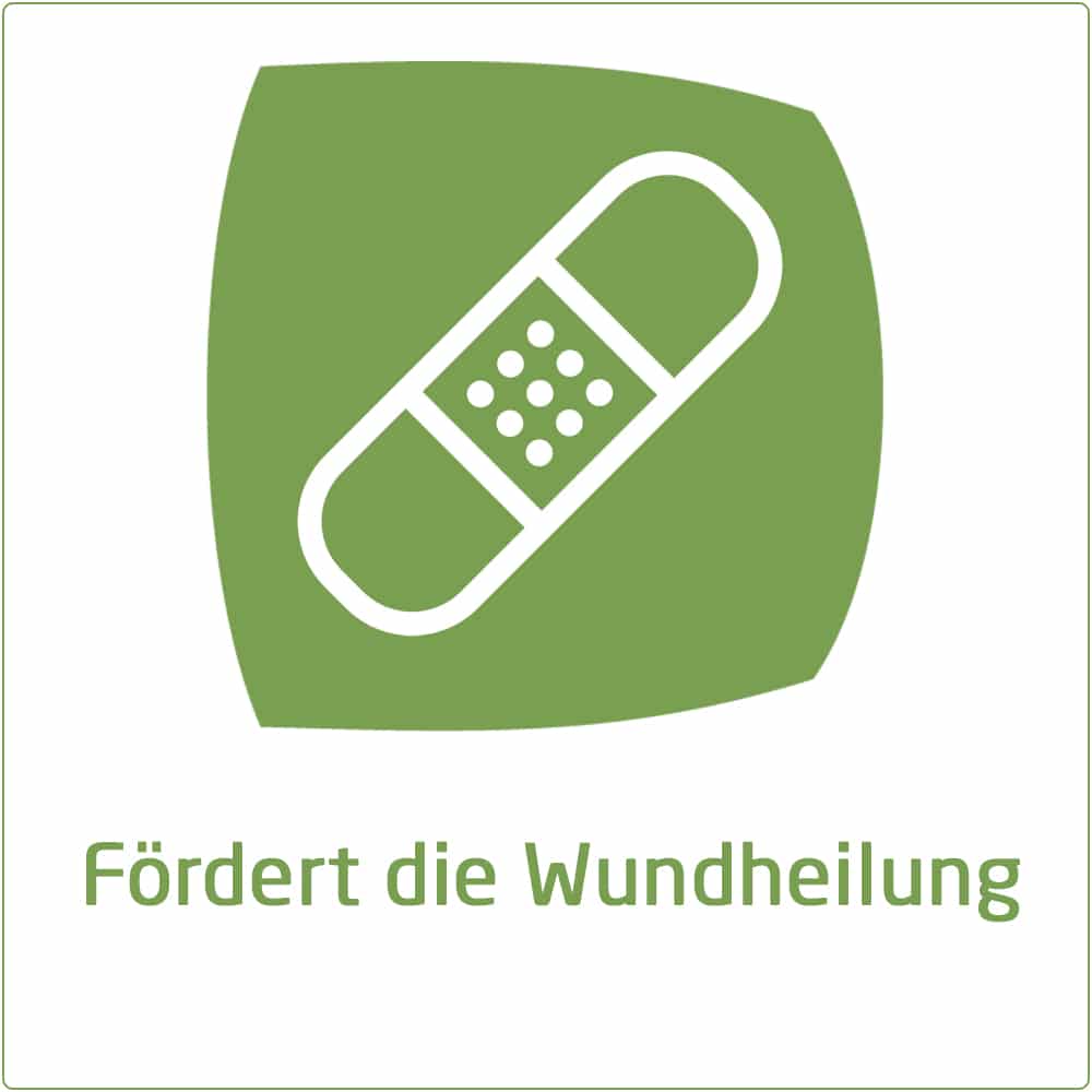 WELEDA Calendula Wundsalbe 70 g Salbe