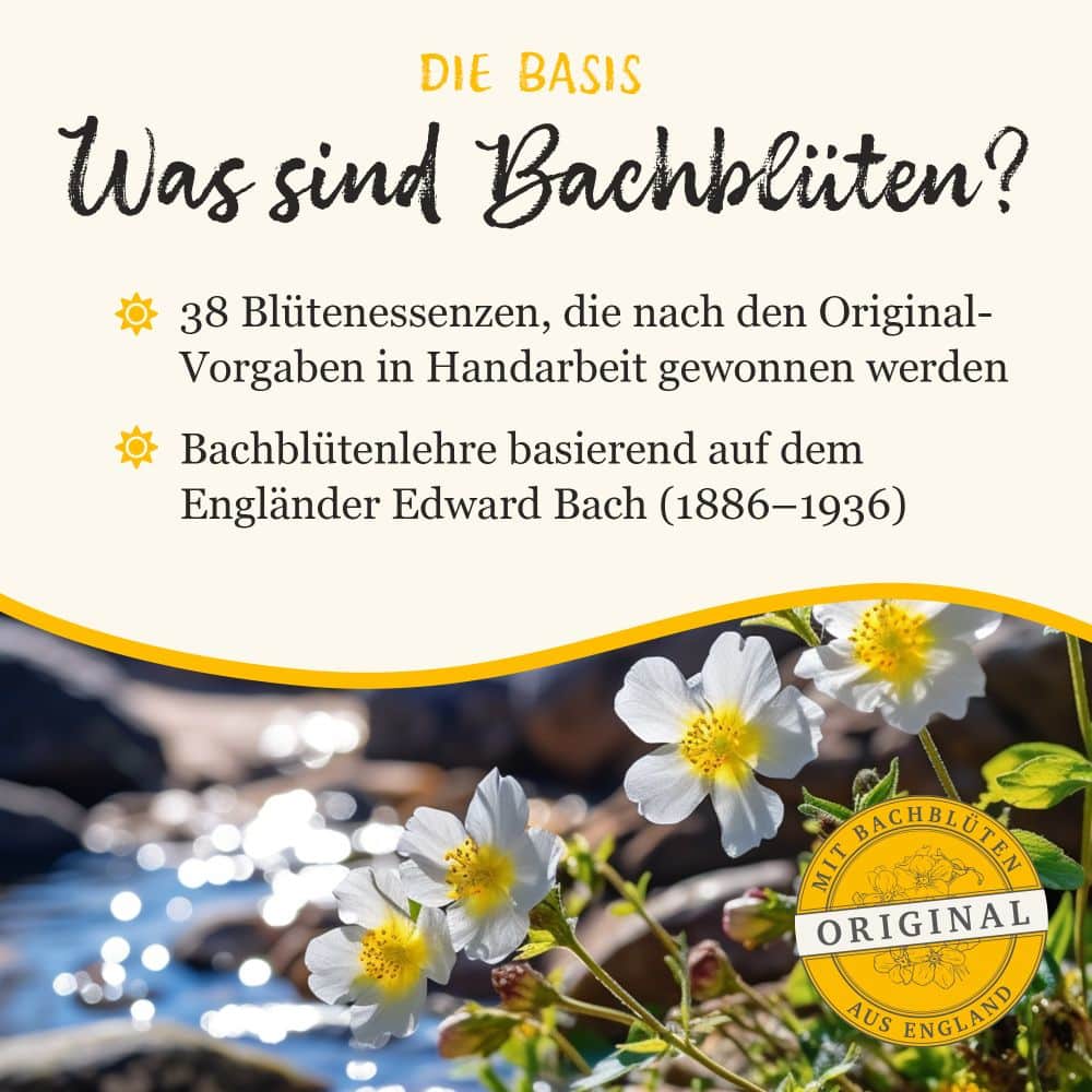 MURNAUERS Bachblüten ORIGINAL BONBONS nach Dr. Bach 50 g Bonbons