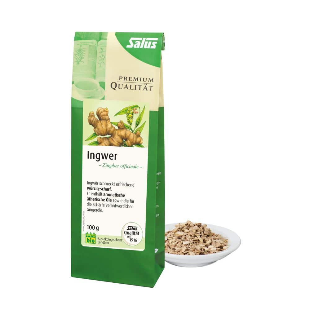 Salus Ingwer Gewürztee 100 g Tee