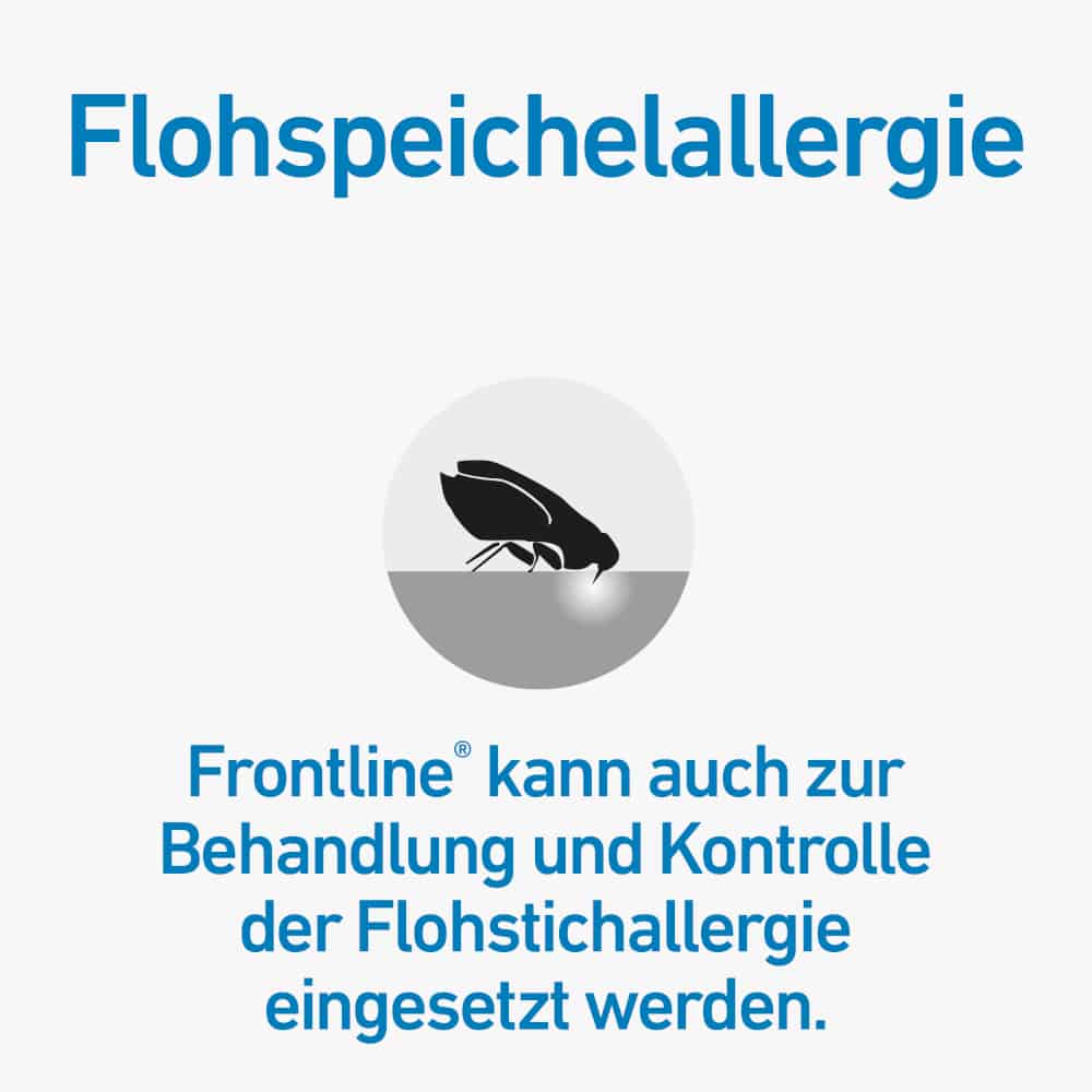 FRONTLINE SPOT-ON gegen Zecken und Flöhe für Katzen 6 St Lösung