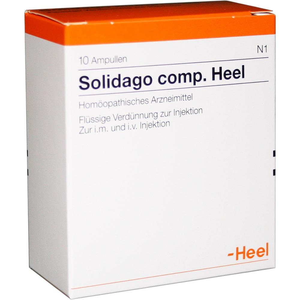 SOLIDAGO COMP.Heel Ampullen 10 St Ampullen