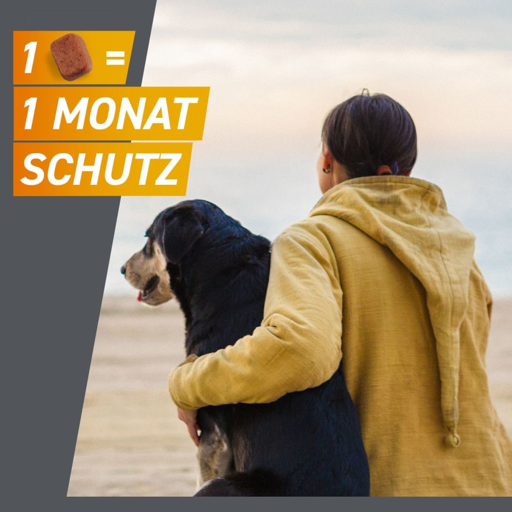 FRONTPRO Kautabletten für Hunde (>10-25kg) 3 St Kautabletten