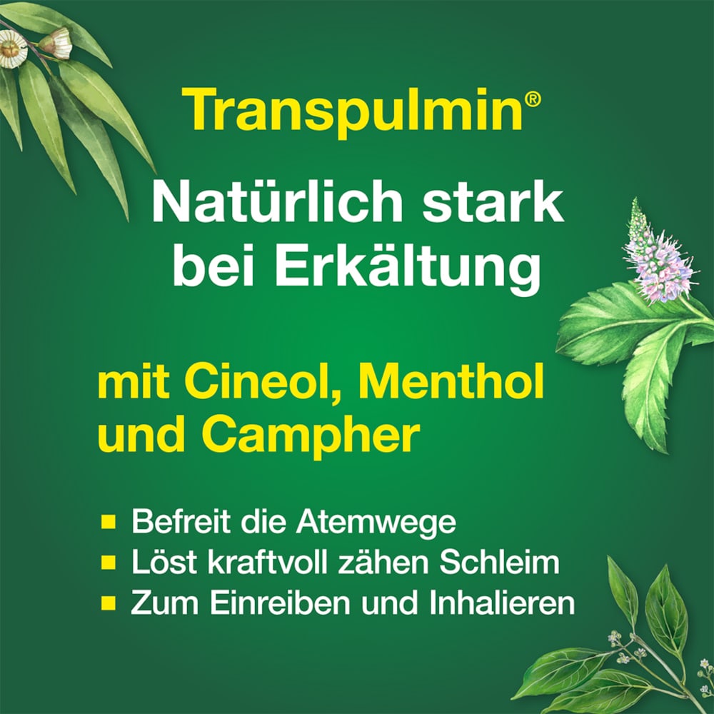 Transpulmin Erkältungsbalsam 100 g Creme