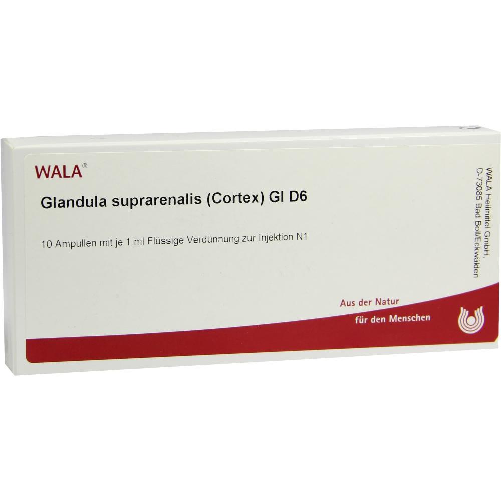 Glandula suprarenalis Cortex GL D6 10X1 ml Ampullen