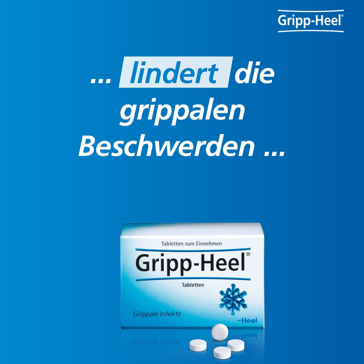 Gripp-Heel bei grippalen Infekten 250 St Tabletten