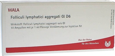Folliculi lymphatici aggregati Gl D6 Ampullen 10X1 ml Ampullen