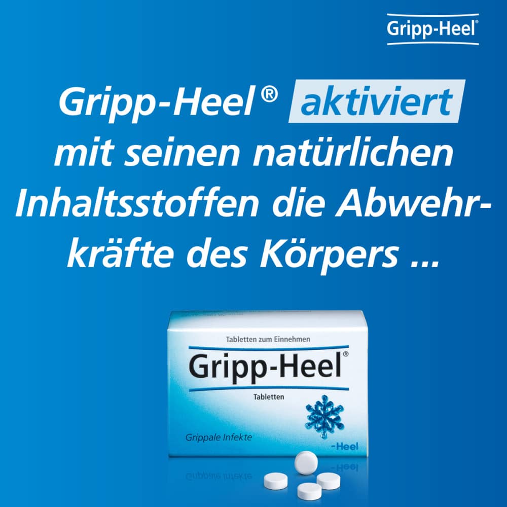 Gripp Heel Tabletten & Euphorbium comp SN Spray Set 1 Sparset