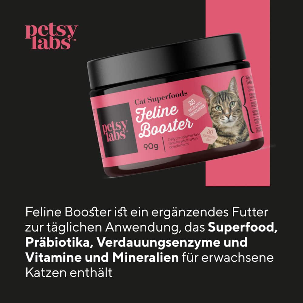 FELINE BOOSTER FUER KATZEN