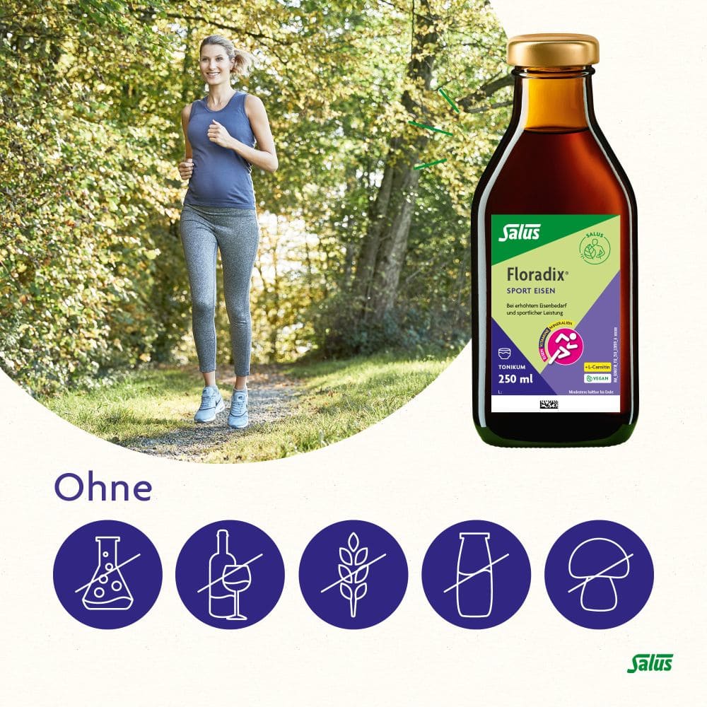 Floradix Sport Eisen 250 ml Tonikum