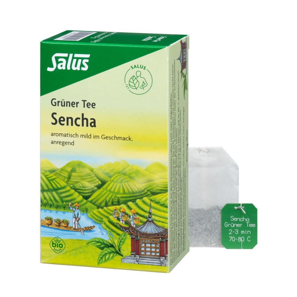 Salus Grüner Tee Bio 15 St Filterbeutel