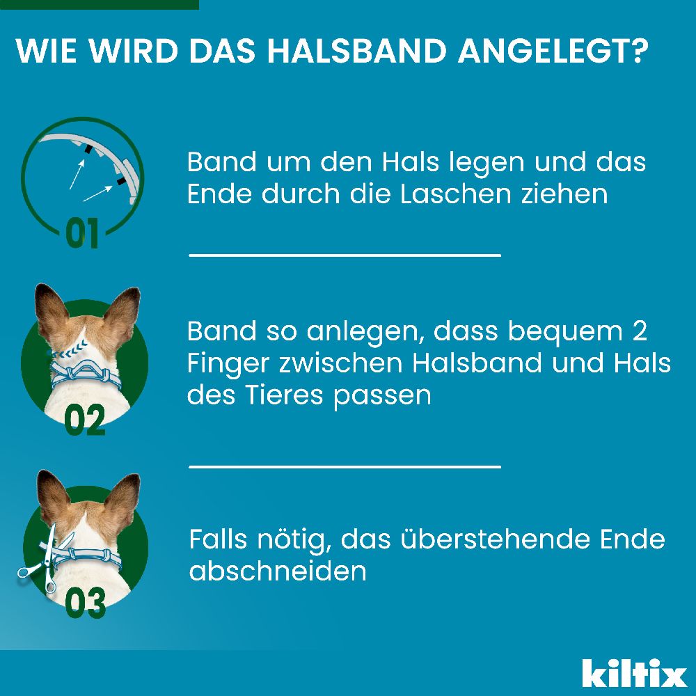 KILTIX Halsband für kleine Hunde 1 St Halsband