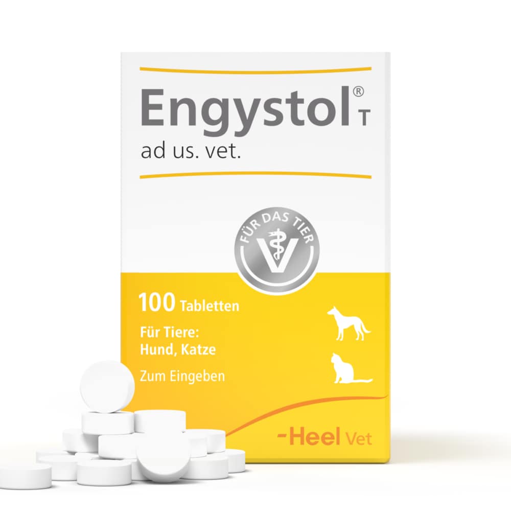 Engystol T ad us. vet. 100 St Tabletten