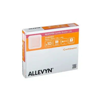 ALLEVYN Gentle Border Lite 10x10 cm Schaumverb. 10 St Verband