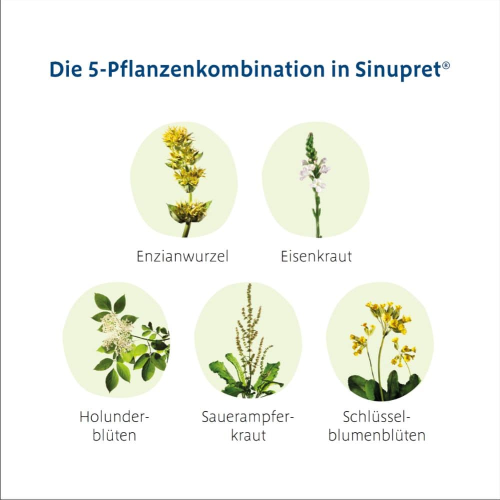 Sinupret Saft 100 ml Sirup