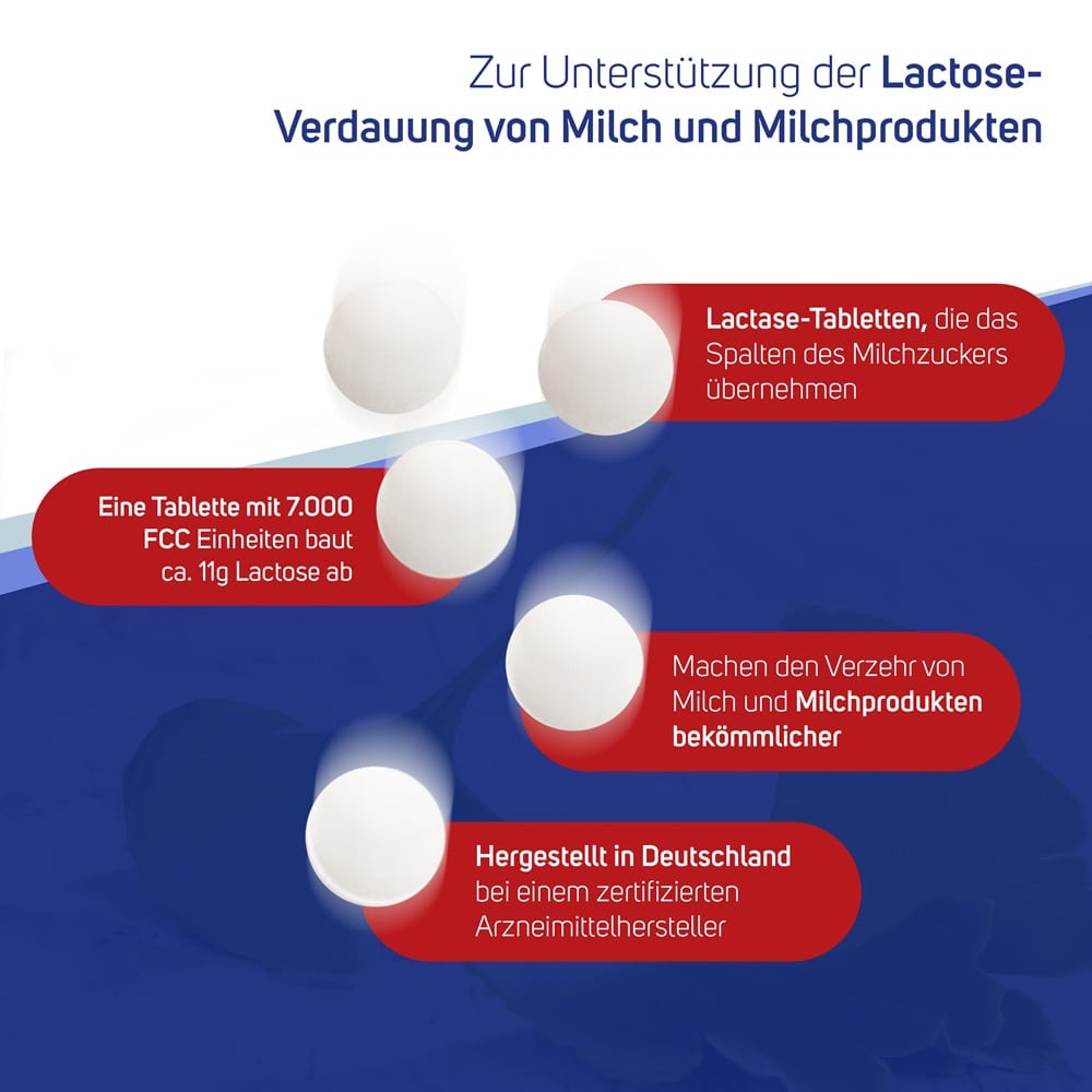 Avitale Lactase 7000 FCC Tabletten im Spender 80 St Tabletten